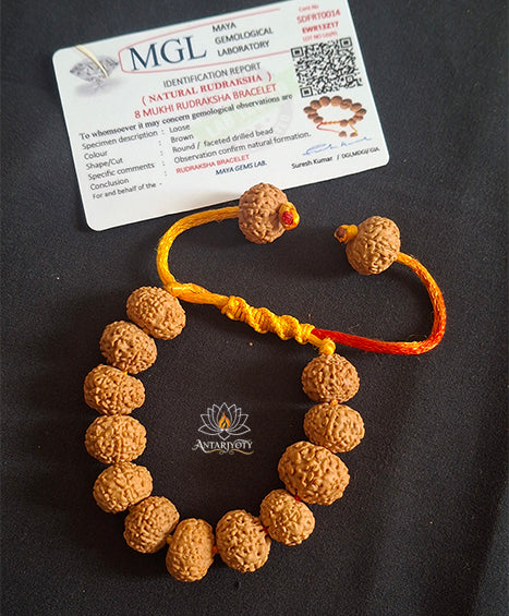 8 Mukhi Rudraksha Bracelet With Certification