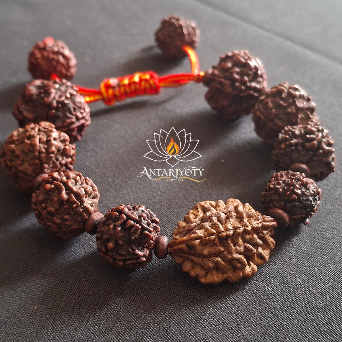 2 Mukhi Rudraksha with 5 Mukhi Rudraksha Bracelet