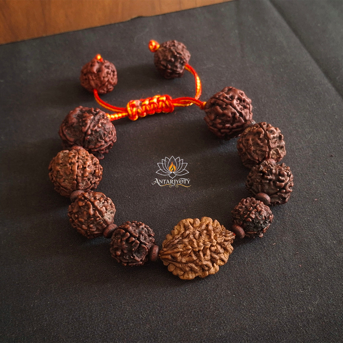 2 Mukhi Rudraksha with 5 Mukhi Rudraksha Bracelet