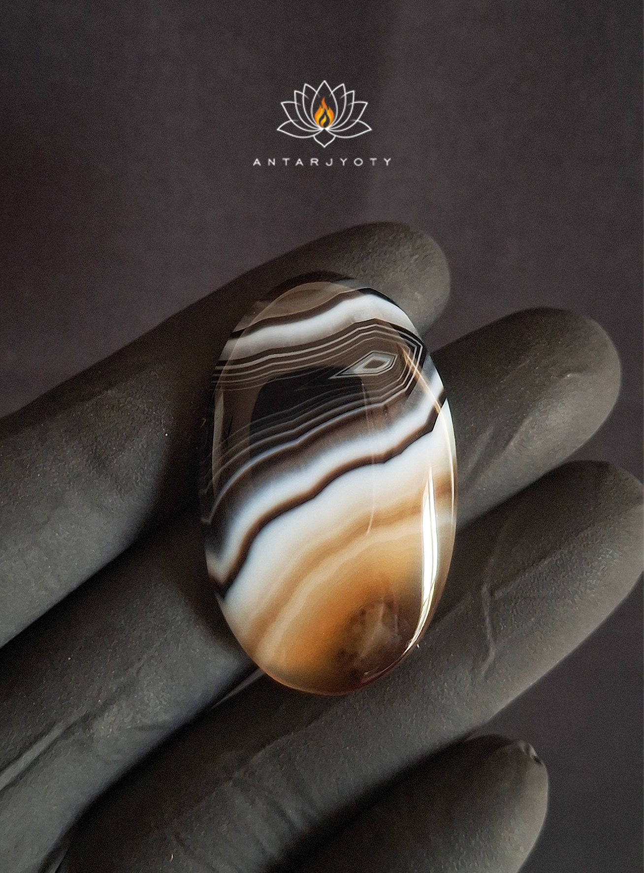 Black Banded Agate Cabochon