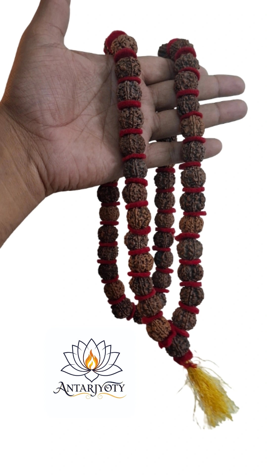 Rudraksha 5 Mukhi kantha Mala