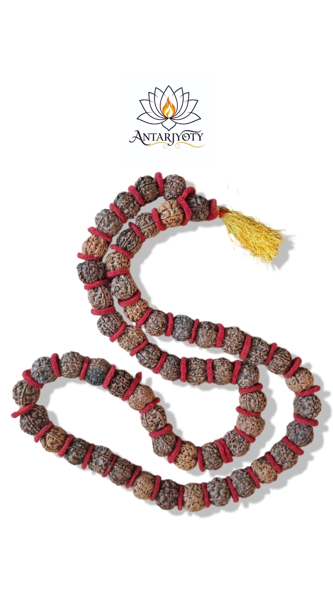 Rudraksha 5 Mukhi kantha Mala