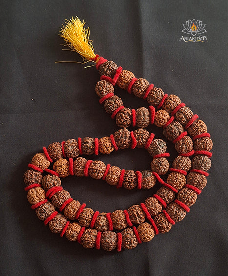 Rudraksha 5 Mukhi kantha Mala