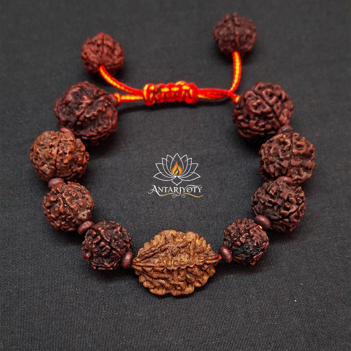 2 Mukhi Rudraksha with 5 Mukhi Rudraksha Bracelet