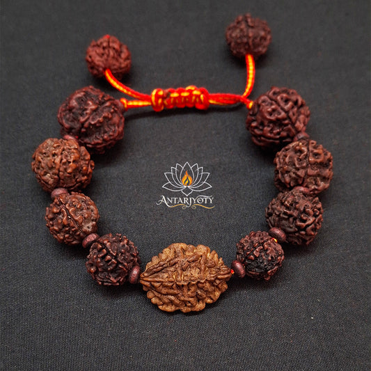 2 Mukhi Rudraksha with 5 Mukhi Rudraksha Bracelet