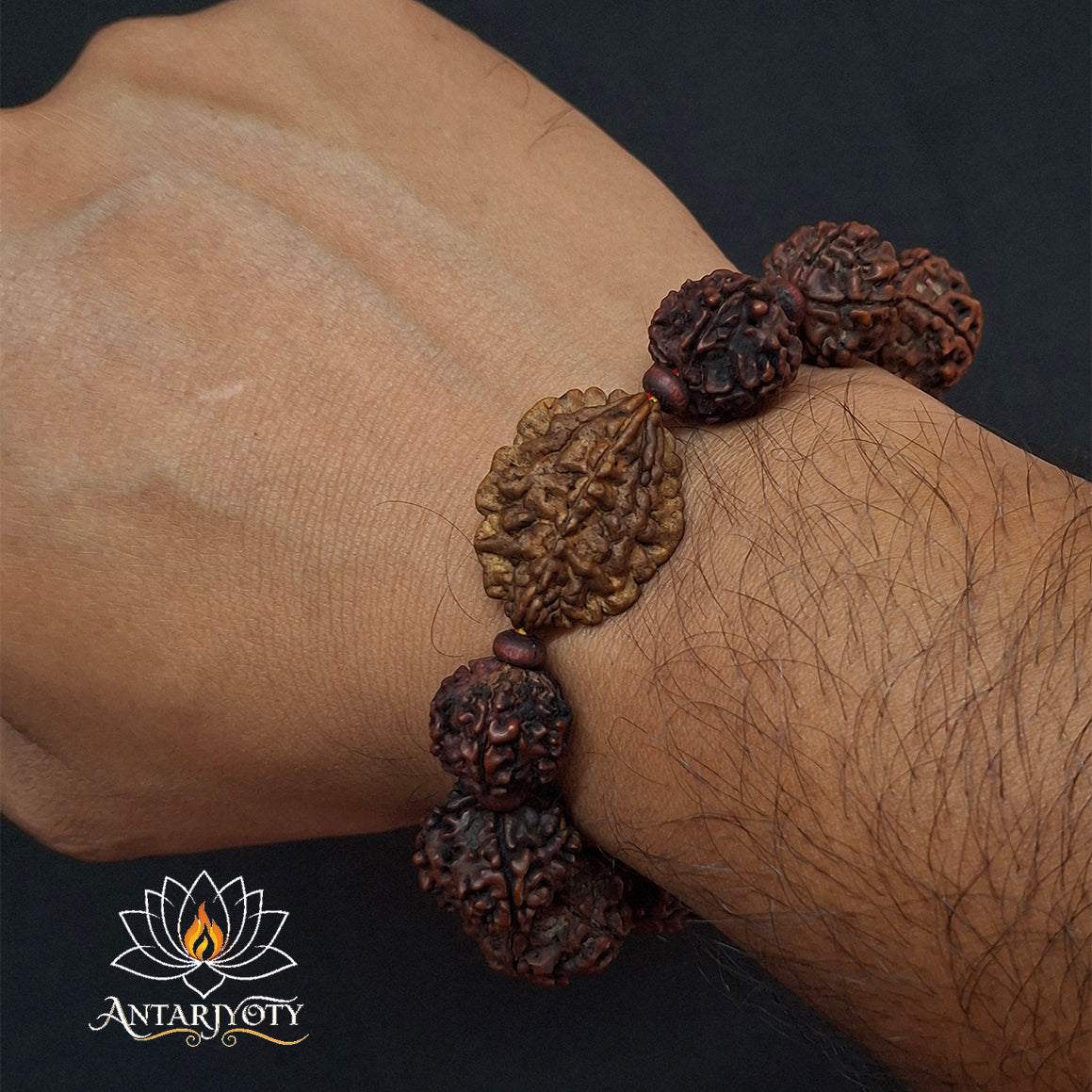 2 Mukhi Rudraksha with 5 Mukhi Rudraksha Bracelet