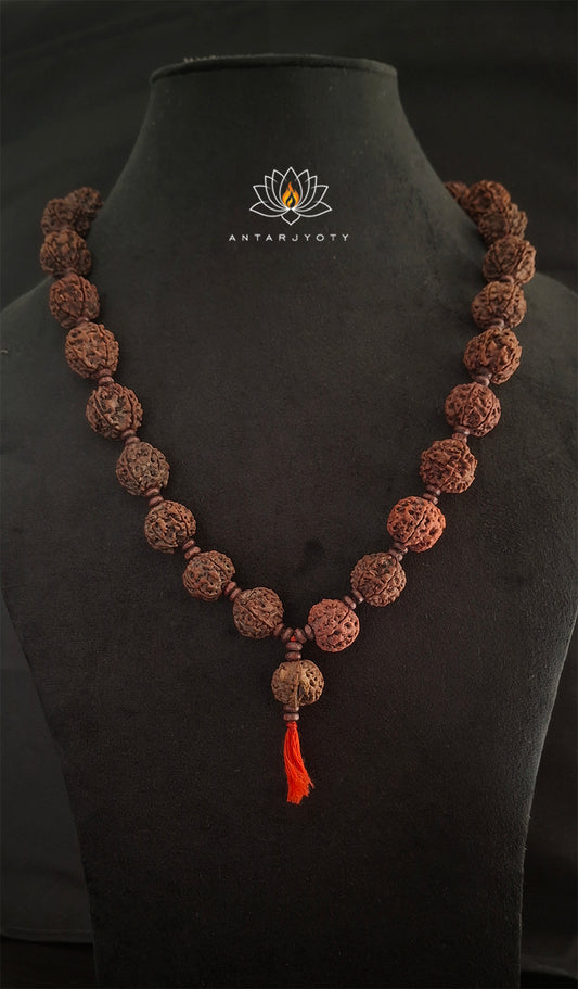 Ganesh Mukhi Rudraksha in 5 Mukhi Rudraksha Mala