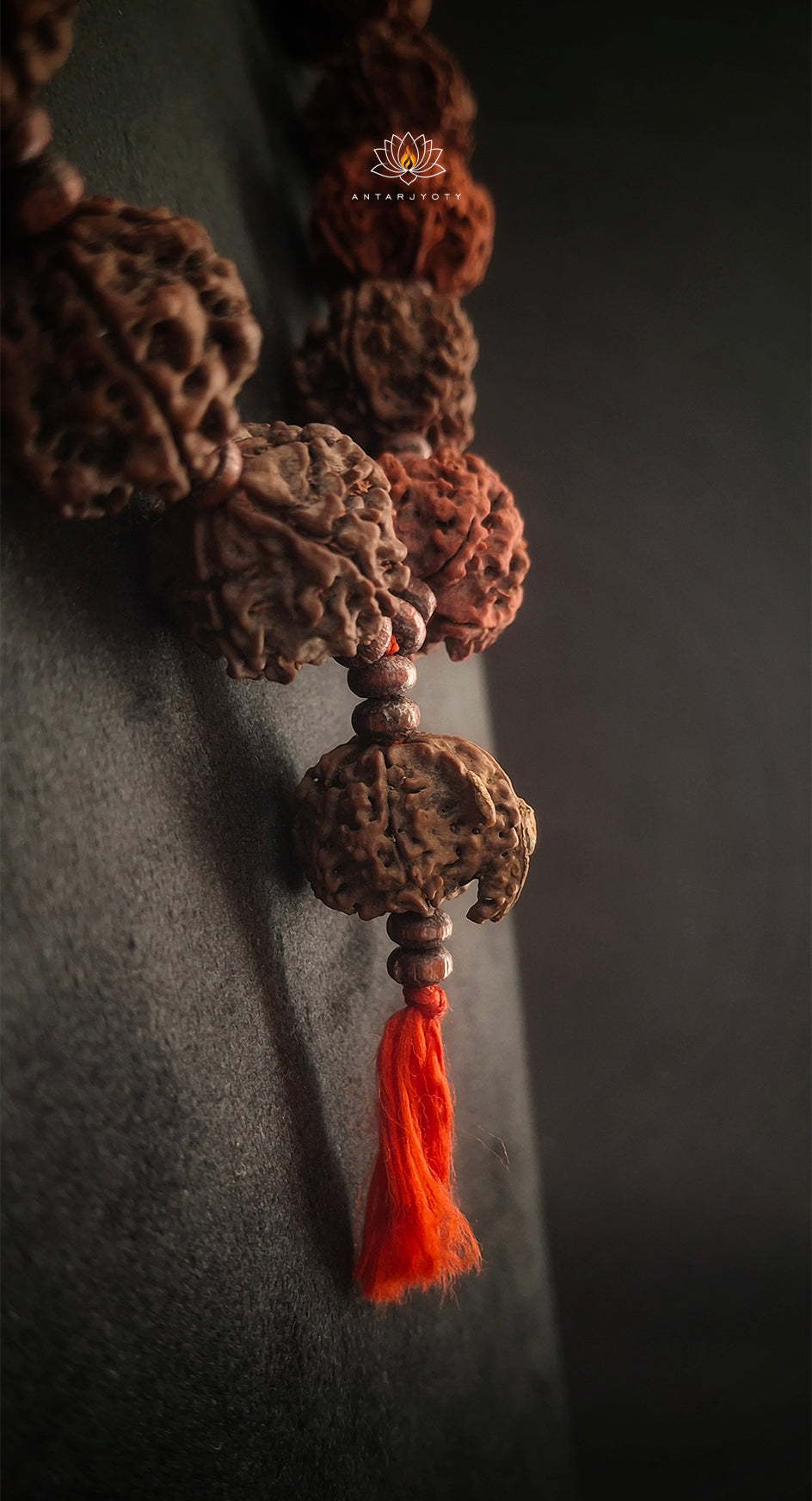 Ganesh Mukhi Rudraksha in 5 Mukhi Rudraksha Mala