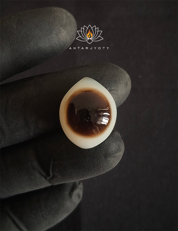 Natural Shiva Eye Stone