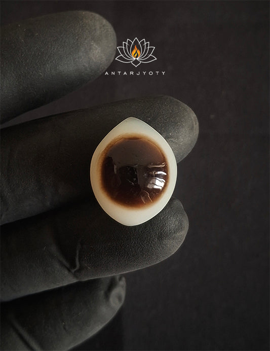 Natural Shiva Eye Stone