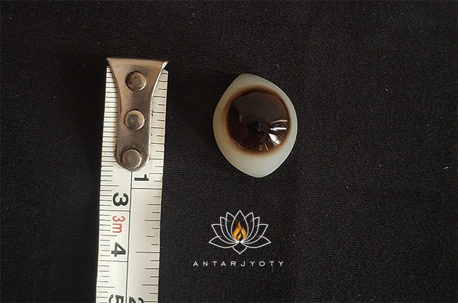 Natural Shiva Eye Stone
