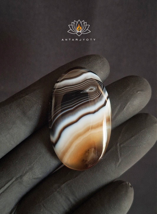 Black Banded Agate Cabochon